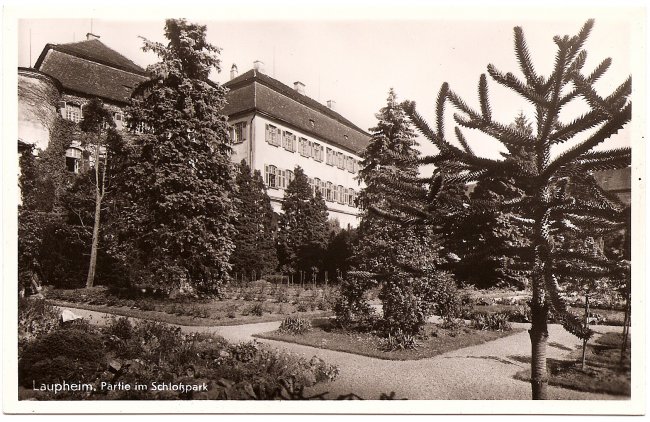 Laupheim Partie am Schlosspark (Vorderseite der Ansichtskarte)