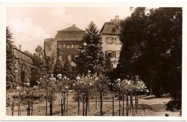 Schloss Großlaupheim (Vorderseite der Ansichtskarte)