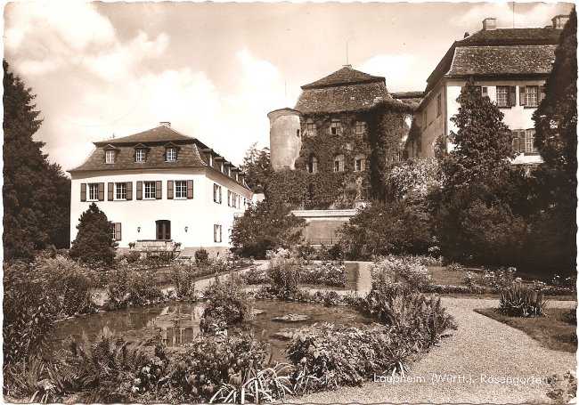 Laupheim (Württ.). Rosengarten (Vorderseite der Ansichtskarte)