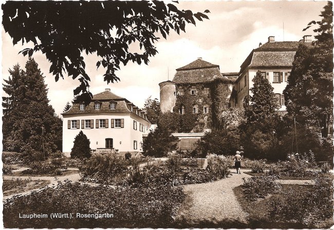 Laupheim (Württ.). Rosengarten (Vorderseite der Ansichtskarte)