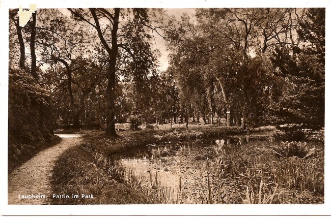 Laupheim Partie im Park (Vorderseite der Ansichtskarte)