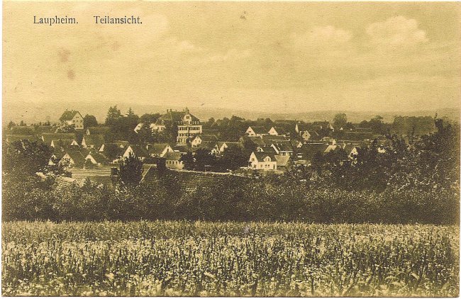 Laupheim, Teilansicht (Vorderseite der Ansichtskarte)