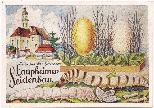 Laupheimer Seidenbau (Vorderseite der Ansichtskarte)