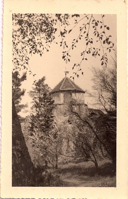 Schlosspark (Vorderseite der Ansichtskarte)