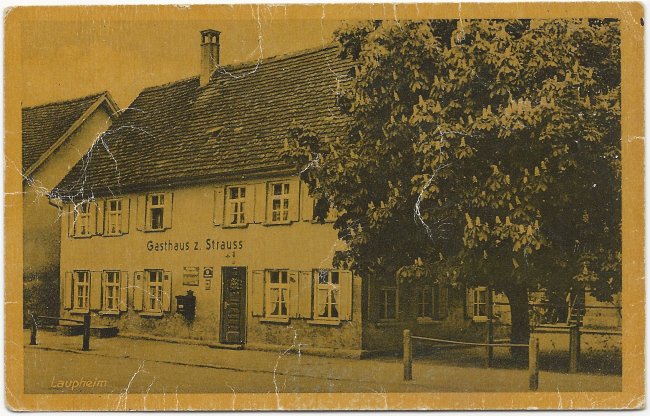 Laupheim Gasthaus z. Strauss (Vorderseite der Ansichtskarte)