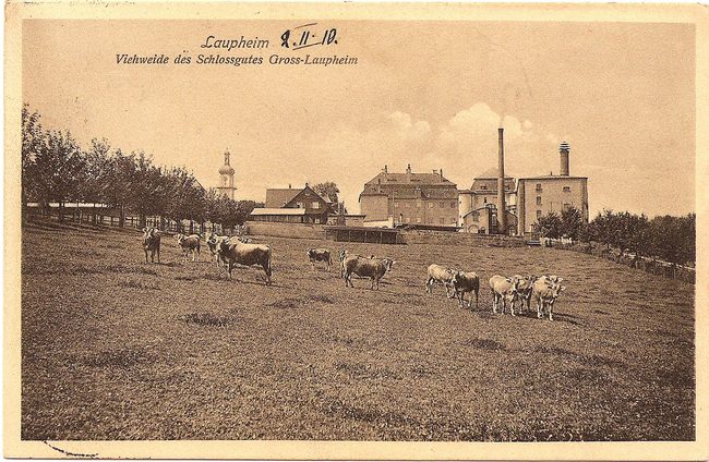 Laupheim – Vorderseite