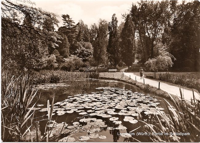 Laupheim (Württ.) Partie im Schloßpark – Vorderseite