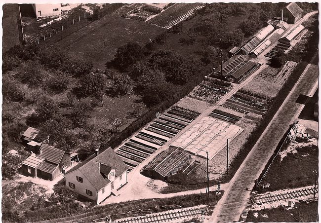 Josef Dodel, Gartenbau – Vorderseite